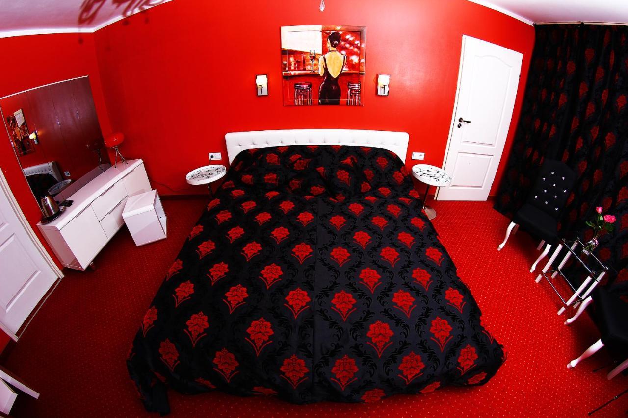 Kardamon Żary Quarto foto